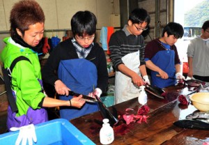 漁業体験コースで、カツオやキハダマグロをさばく修道高校の生徒＝２９日、奄美市名瀬 