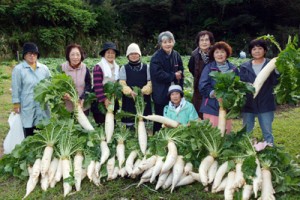アッタドコネを収穫した女性グループ＝２４日、奄美市名瀬有良