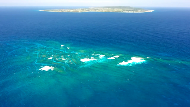 喜界島PR動画を公開 サンゴ礁科学研究所ら｜地域｜南海日日新聞